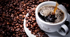 قهوه گلد اکوادور عمده